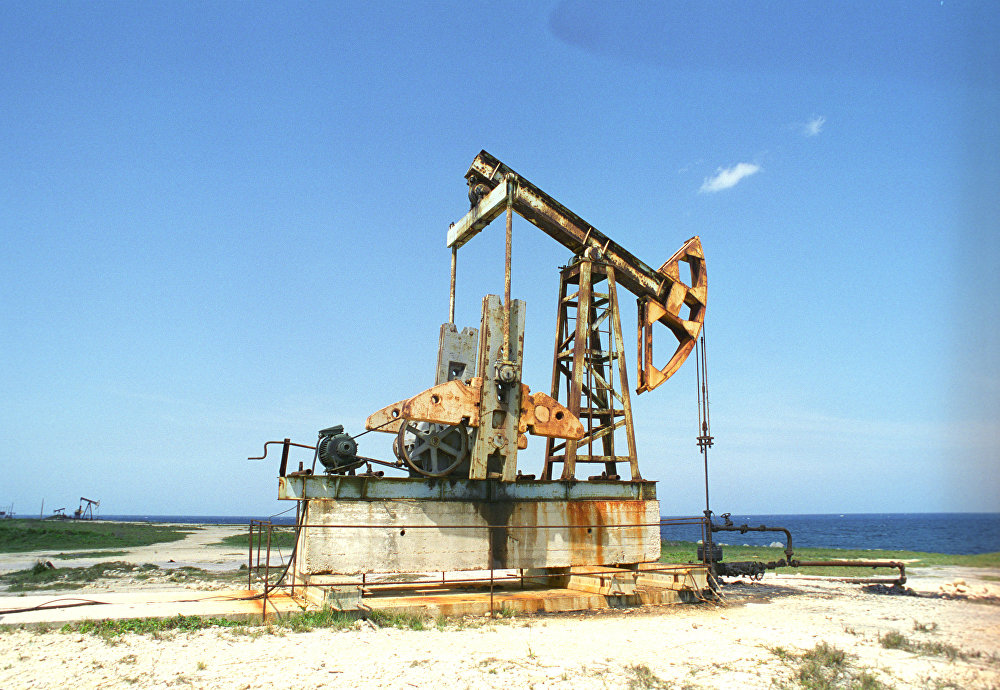 Беларусь хочет привлекать мировые компании для поиска нефти