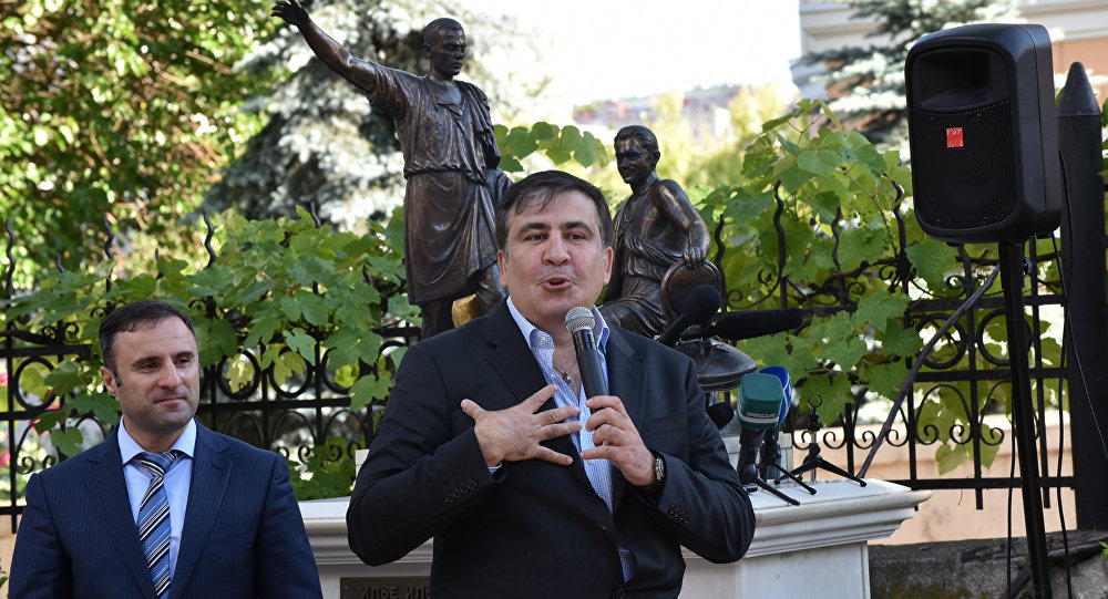 Саакашвили высказался о петиции о своем возможном премьерстве
