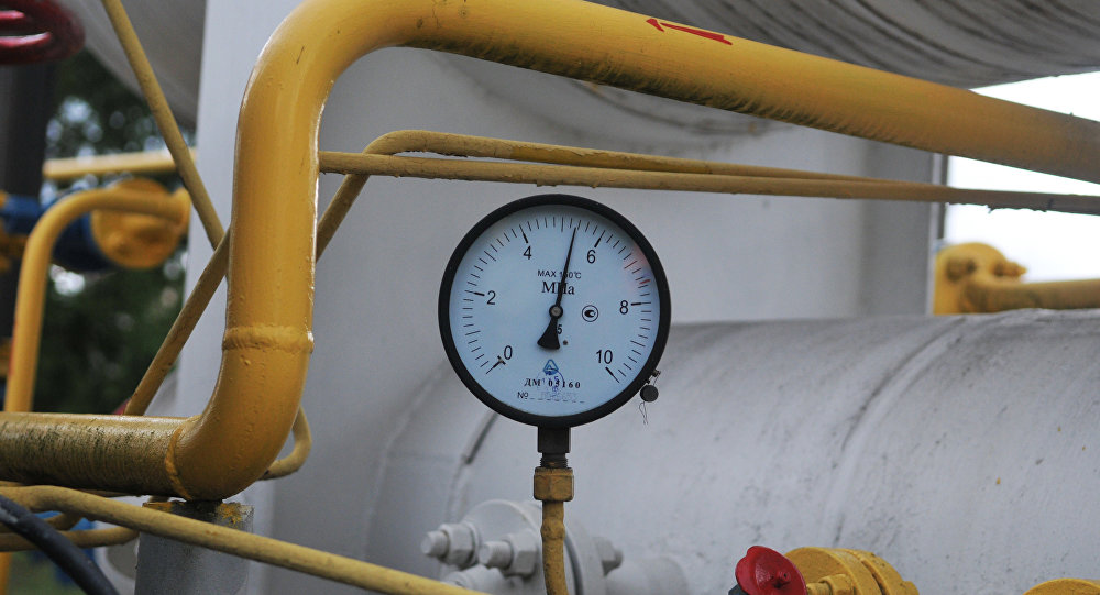 ����: sputnik-georgia.ru