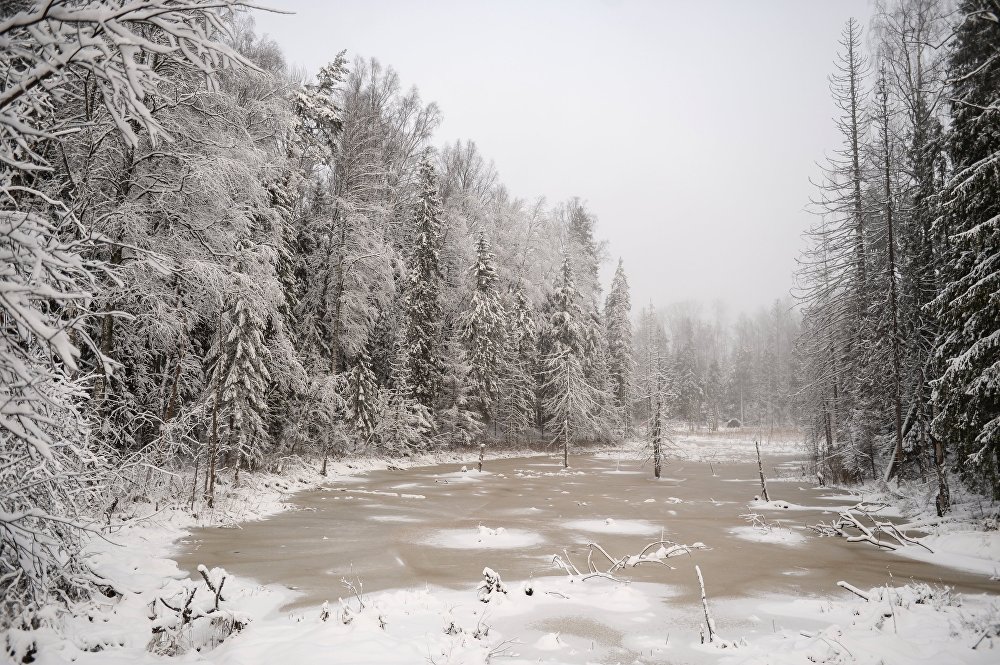 : sputnik-georgia.ru