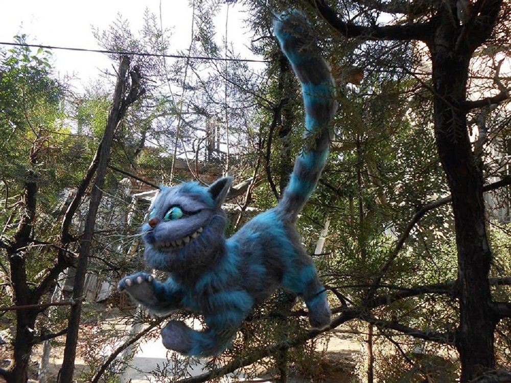 ����: sputnik-georgia.ru