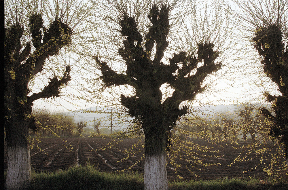 : sputnik-georgia.ru