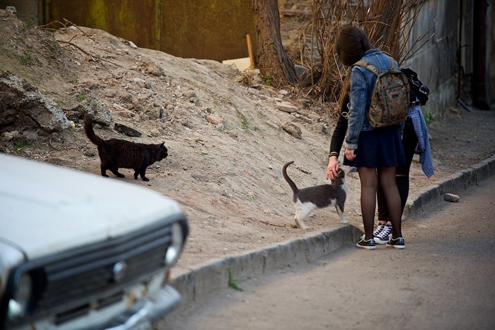 : sputnik-georgia.ru