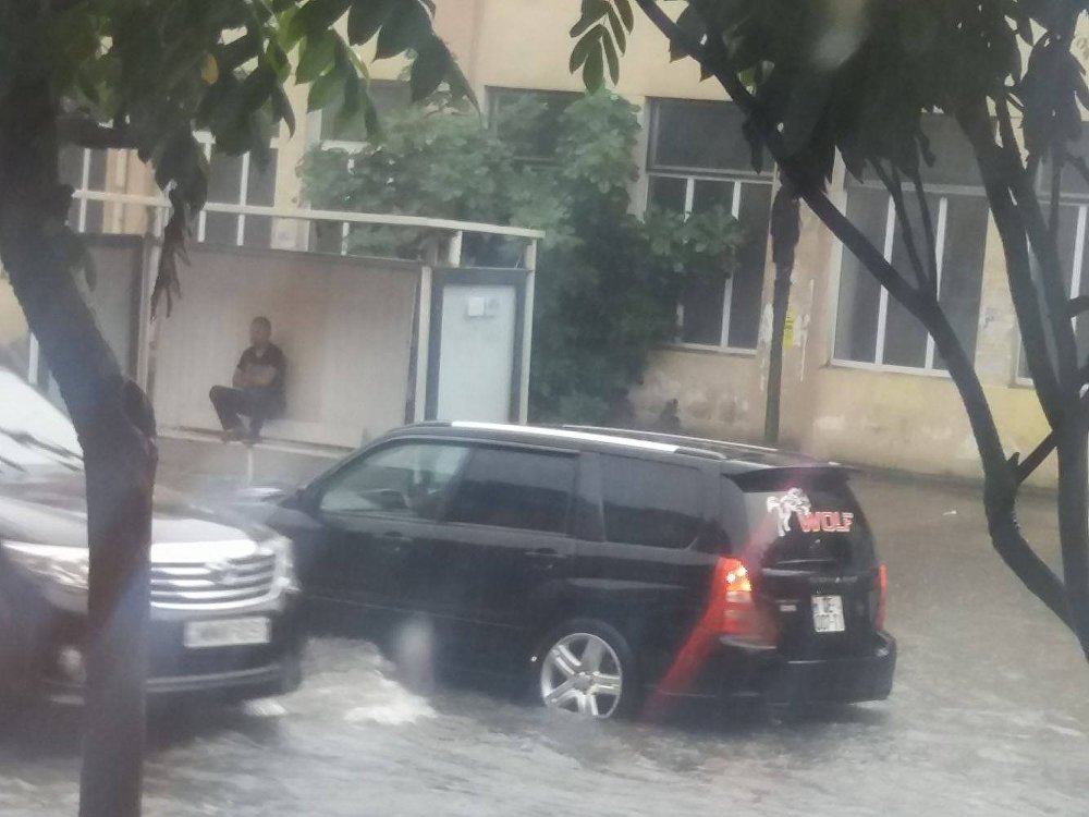 ����: sputnik-georgia.ru