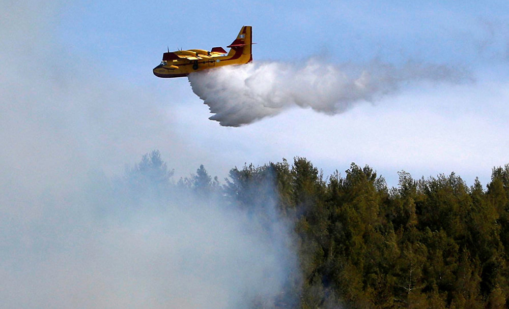 В Израиле потушили все лесные пожары