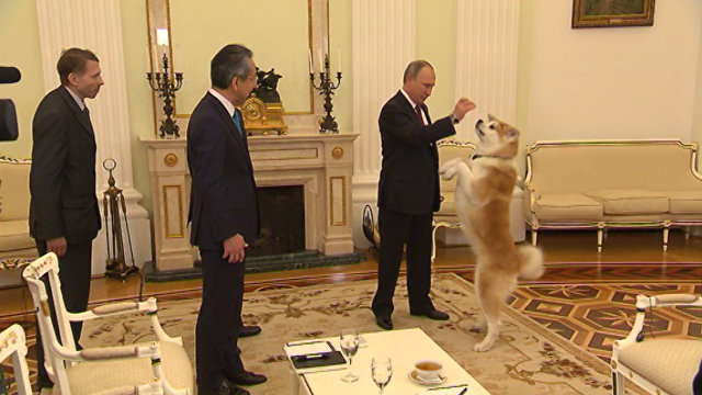 პუტინმა იაპონელ ჟურნალისტებს ინტერვიუმდე ძაღლი იუმე უჩვენა