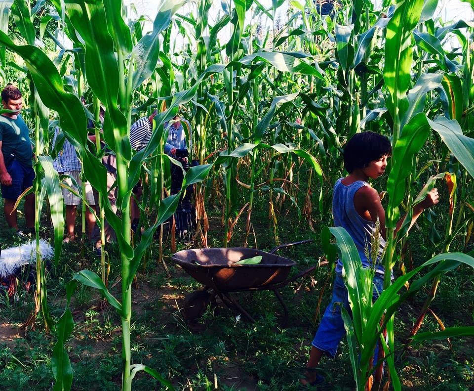 ����: sputnik-georgia.ru