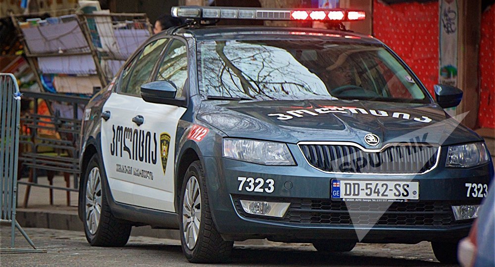 ����: sputnik-georgia.ru