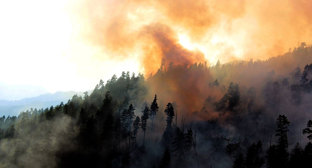 ����: sputnik-georgia.ru