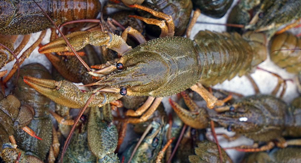 ����: sputnik-georgia.ru