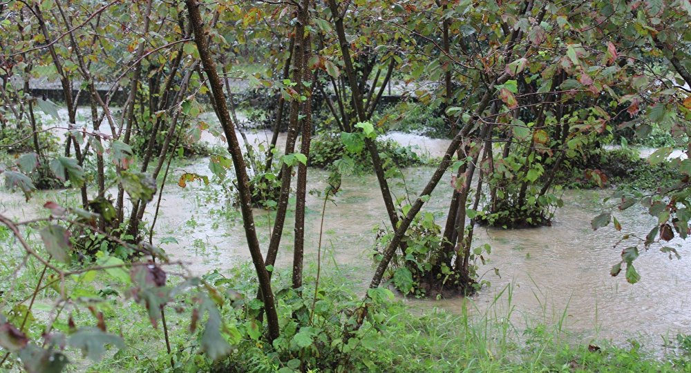 Фото: sputnik-georgia.ru