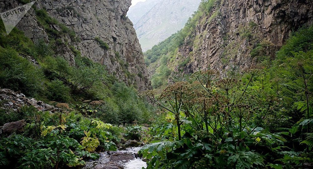 : sputnik-georgia.ru