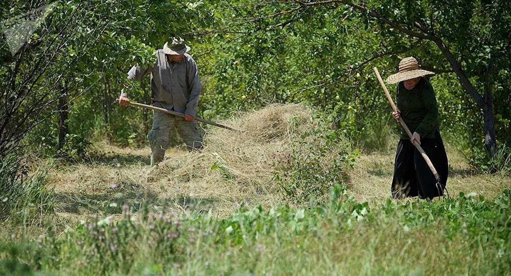 ����: sputnik-georgia.ru