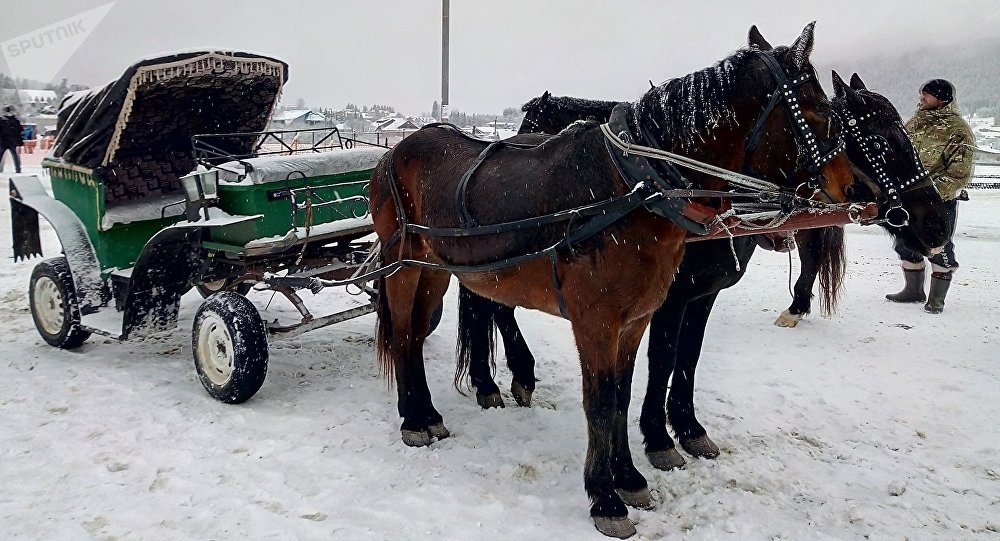 : sputnik-georgia.ru