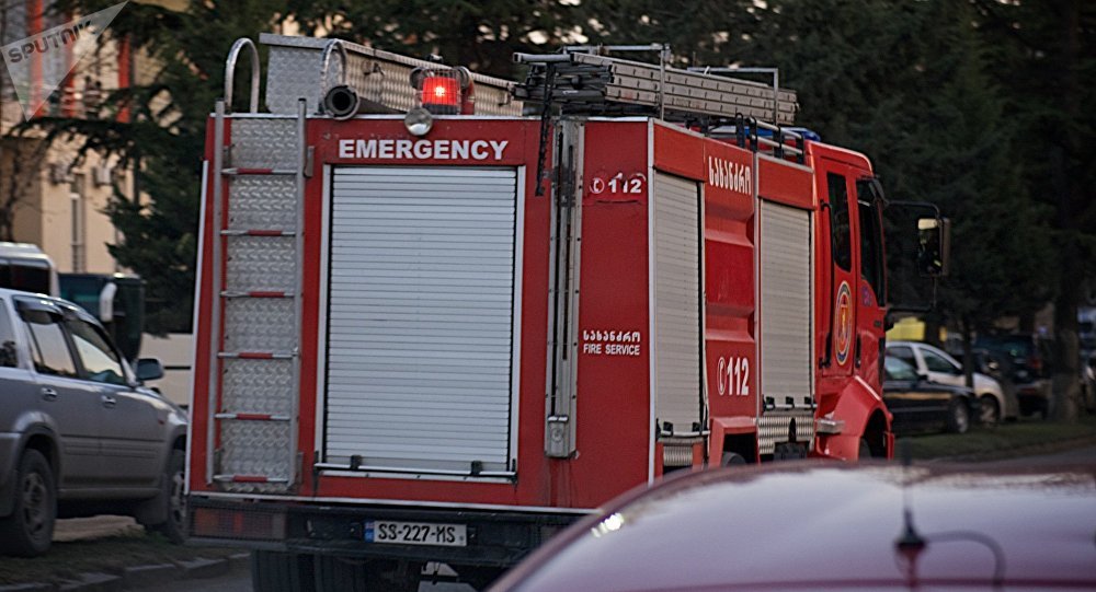 ����: sputnik-georgia.ru