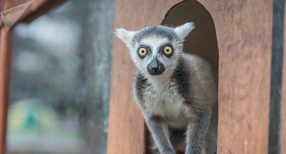 ����: sputnik-georgia.ru