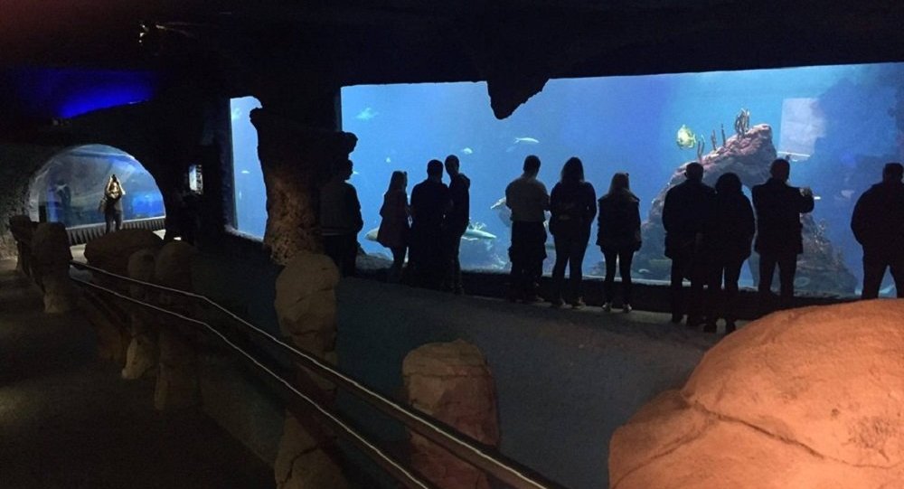 ����: sputnik-georgia.ru