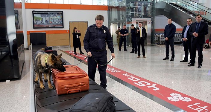 Служебная собака в аэропорту Тбилиси Служебная собака в аэропорту Тбилиси