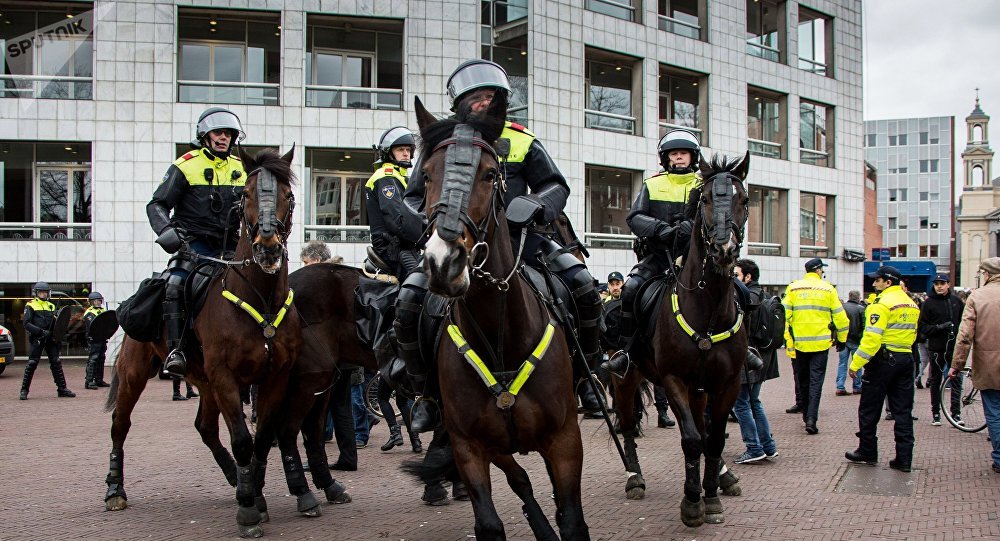 Полиция в Амстердаме на лошадях